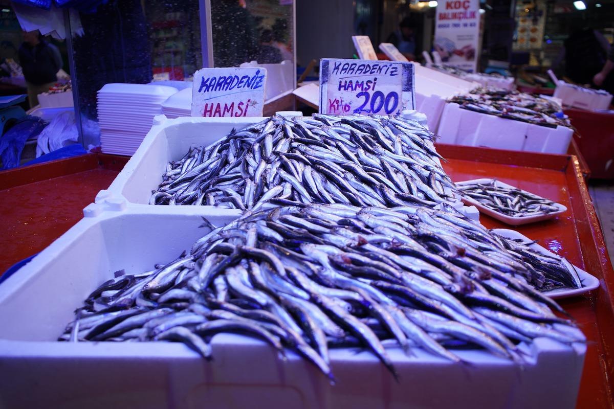 Yasağa günler kala sezonun son balıkları vatandaşla buluşuyor 4