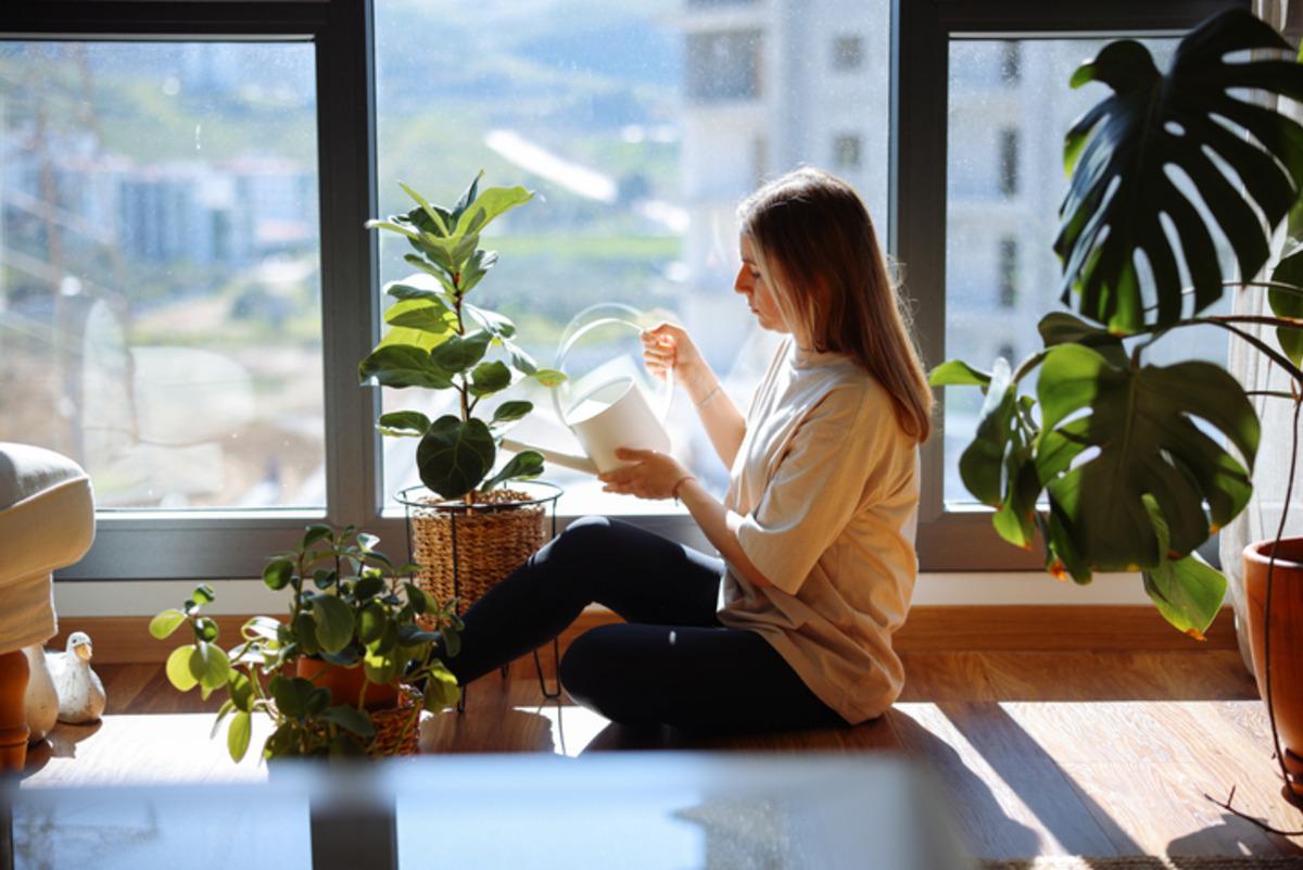 Evdeki k&uuml;f&uuml; anında emiyor! Bu y&ouml;ntem deneyen herkesten tam not aldı 2