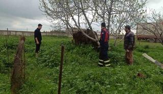 Mardin&rsquo;de kuyuya d&uuml;şen ineği itfaiye kurtardı