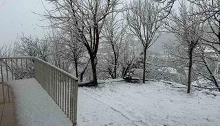 Hakkari beyaza b&uuml;r&uuml;nd&uuml;