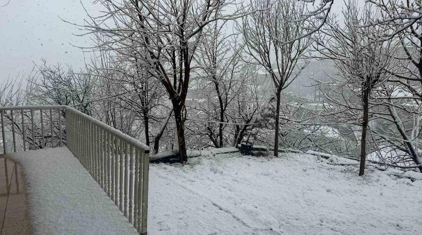 Hakkari beyaza b&uuml;r&uuml;nd&uuml;
