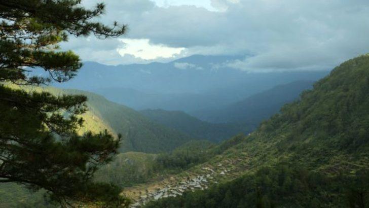 Ölüleri gömmüyor, uçuruma asıyorlar G1