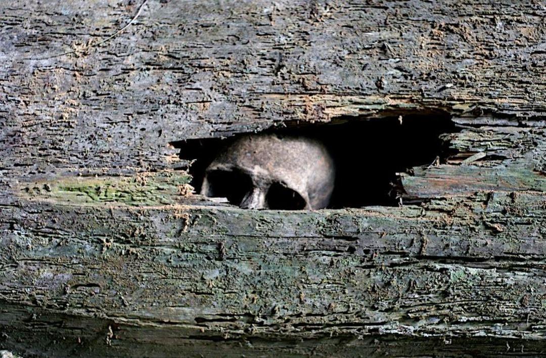 &Ouml;l&uuml;leri g&ouml;mm&uuml;yor, u&ccedil;uruma asıyorlar