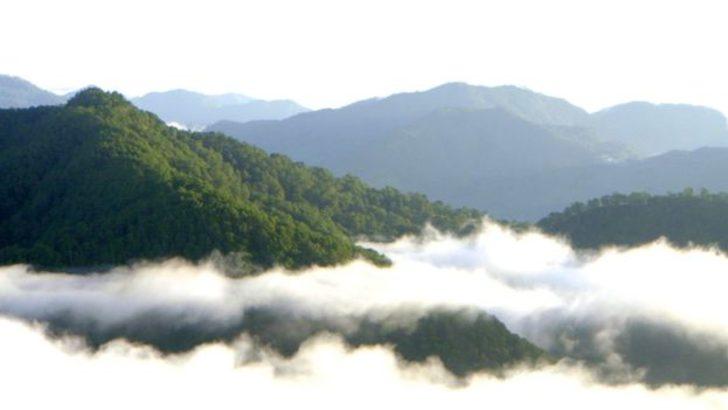 Ölüleri gömmüyor, uçuruma asıyorlar G4