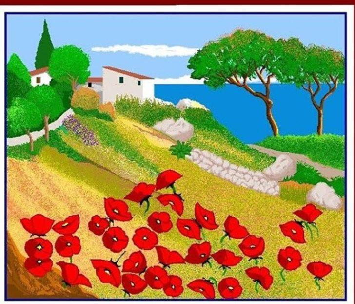 87 yaşındaki kadının yaptığına inanamayacaksınız G3