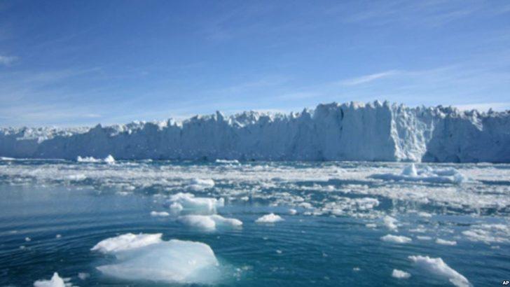 4 bin yıl önce soyları tükenmişti! Mamutlar tekrar dünyaya geliyor  G4