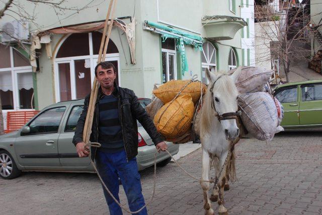 Akaryakıt zamlarından sonra at ve eşekler yeniden kıymete bindi