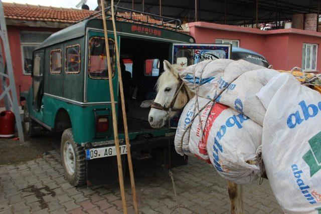 Akaryakıt zamlarından sonra at ve eşekler yeniden kıymete bindi