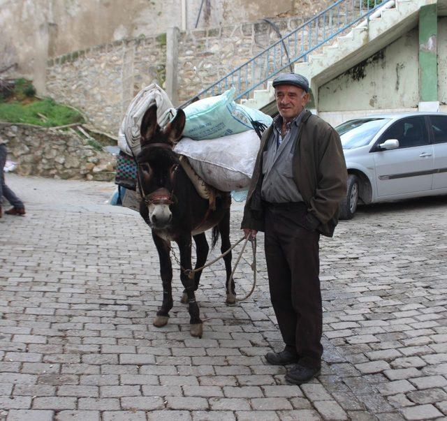 Akaryakıt zamlarından sonra at ve eşekler yeniden kıymete bindi