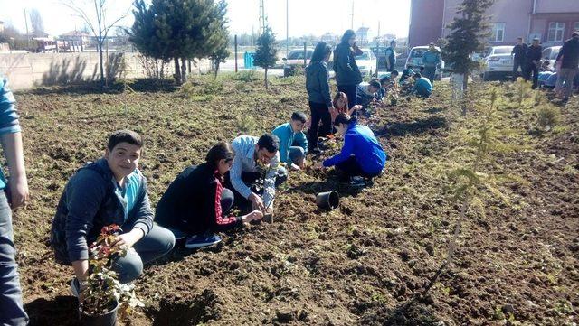 Boğazlıyan’da öğrenciler okul bahçesine gül dikti