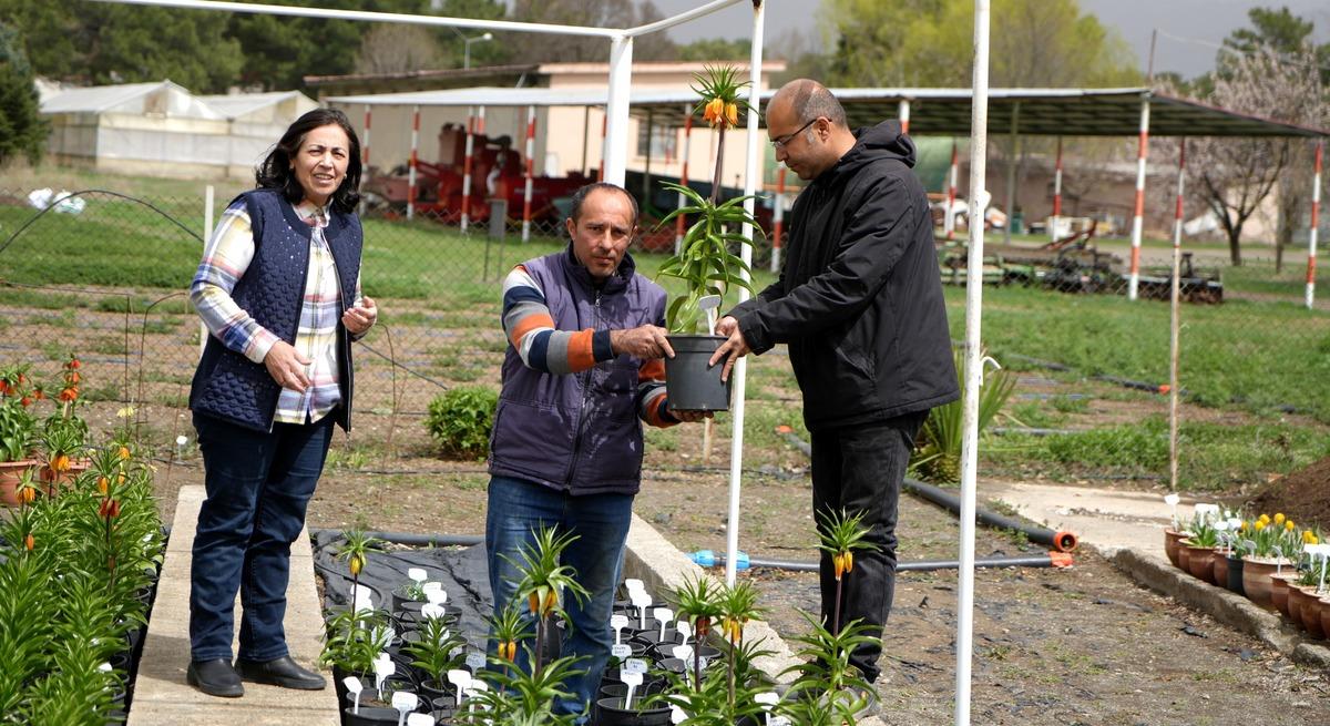 Yılda sadece 20 g&uuml;n yaşıyor!  Koparmanın cezası dudak u&ccedil;uklatıyor 2