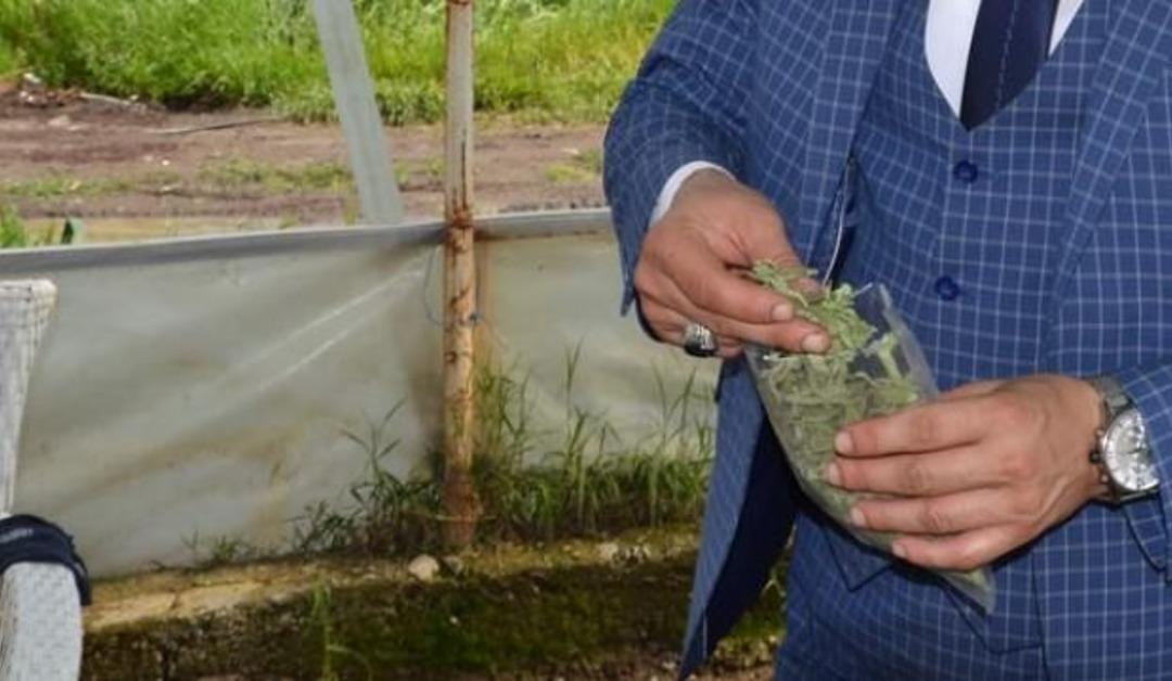 Bir d&ouml;n&uuml;mden 16 bin TL gelir!