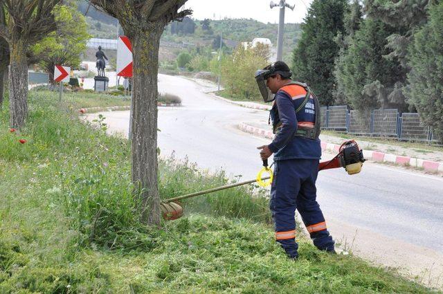 Söğüt’te bahar temizliği