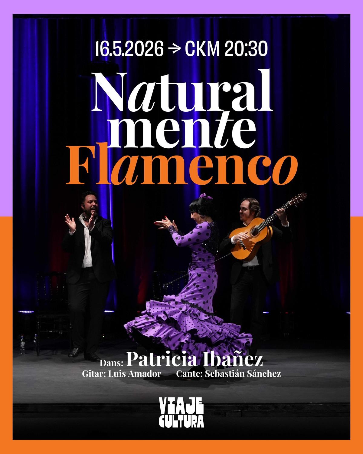 Flamenko’nun En Doğal Hâli İstanbul’da: Naturalmente Flamenco CKM Sahnesi nde 1