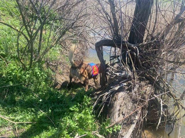 Bir ilin konuştuğu gizem! Sırra kadem bastı, 5 gündür haber alınamıyor 3