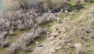 Bir ilin konuştuğu gizem! Sırra kadem bastı, 5 g&uuml;nd&uuml;r haber alınamıyor