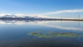 Meteorolojiden zirai don uyarısı