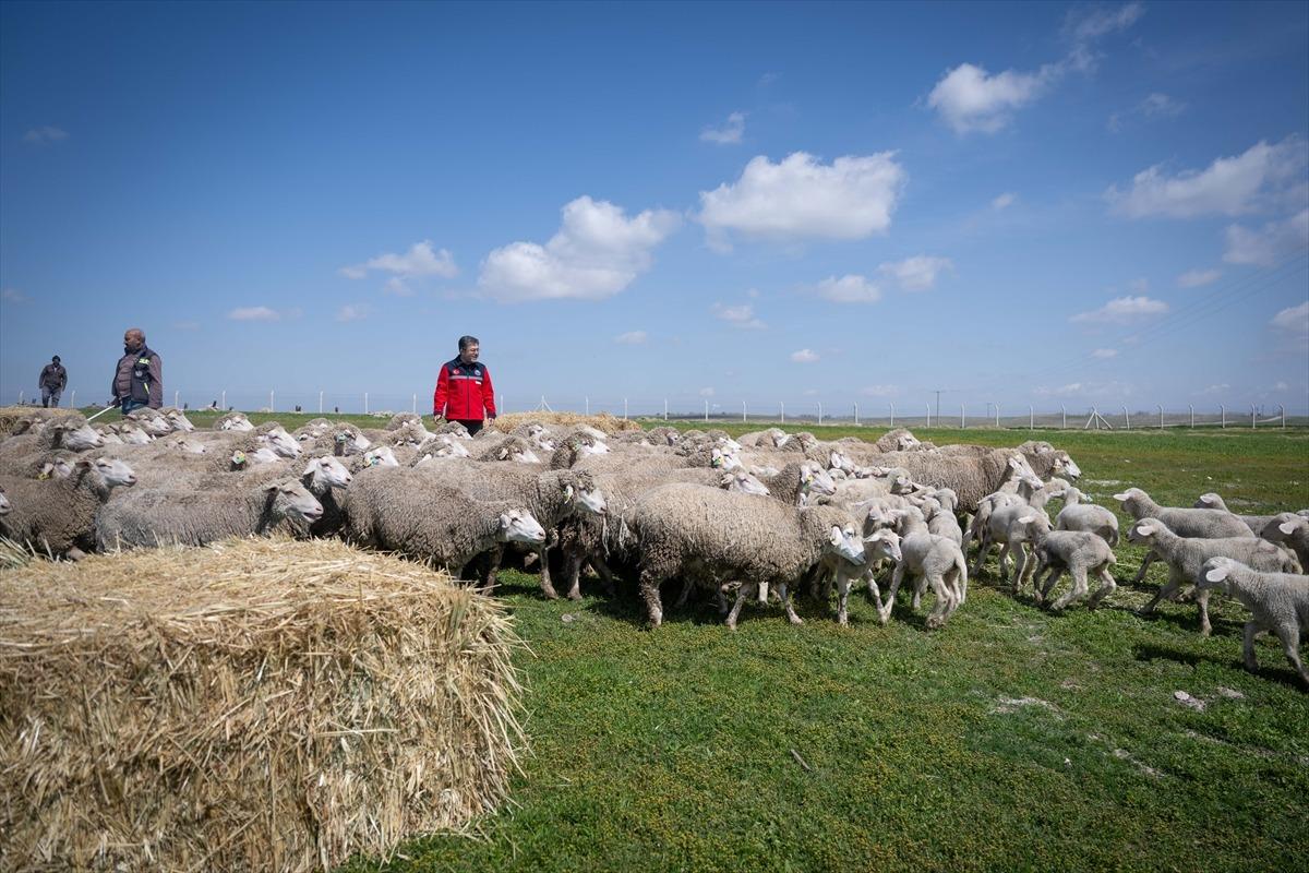 Bakan Yumaklı duyurdu: Yıllık 180 bin TL destek verilecek 1