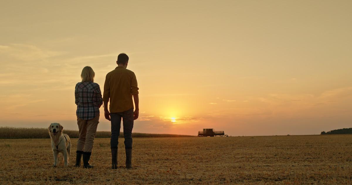 Bekarsa 2 asgari ücret, evliyse 3 asgari ücret maaş: Köye dönene çiftlik 2