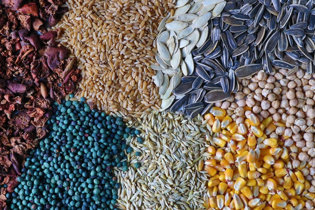 Evliya Çelebi nin bile bahsettiği yüzyıllık lezzet: Gavut 2