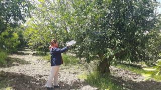 Tarım arazilerinde hastalık ve zararlı denetim mesaisi