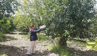 Tarım arazilerinde hastalık ve zararlı denetim mesaisi