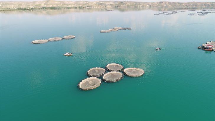 Tüm dünya onların peşinde ama onlar Türkiye'de G4