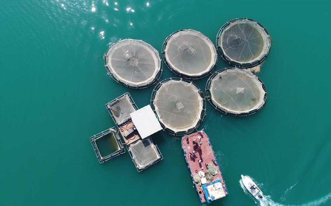 T&uuml;m d&uuml;nya onların peşinde ama onlar T&uuml;rkiye'de