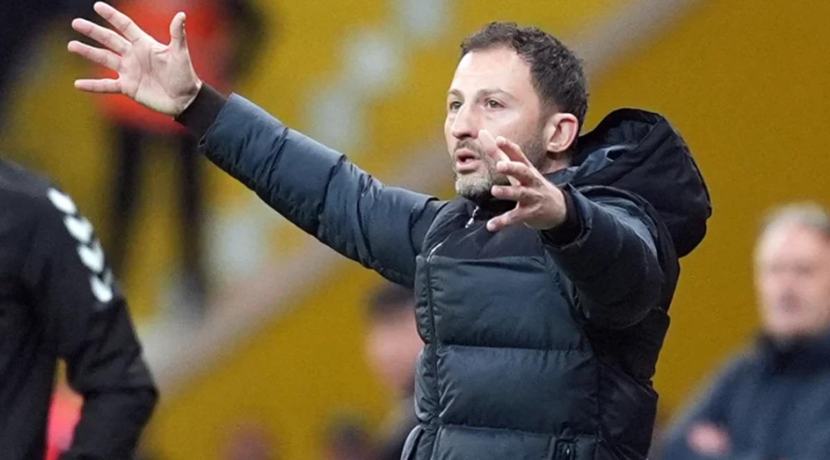 B&ouml;ylesi daha &ouml;nce g&ouml;r&uuml;lmedi! Fenerbah&ccedil;e de dev prim: Eğer 5 galibiyet alınırsa... 3