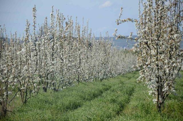 İneg&ouml;l de bahar geldi: Kartpostallık g&ouml;r&uuml;nt&uuml;ler 3