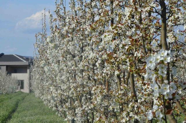 İneg&ouml;l de bahar geldi: Kartpostallık g&ouml;r&uuml;nt&uuml;ler 4