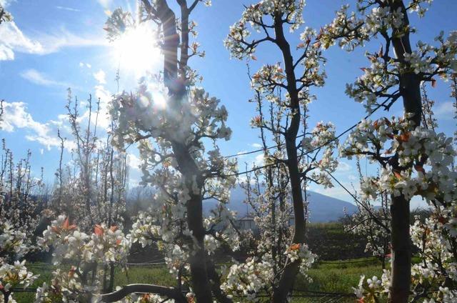 İneg&ouml;l de bahar geldi: Kartpostallık g&ouml;r&uuml;nt&uuml;ler 7