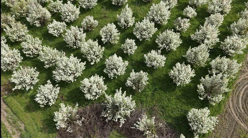 İneg&ouml;l'de bahar geldi: Kartpostallık g&ouml;r&uuml;nt&uuml;ler