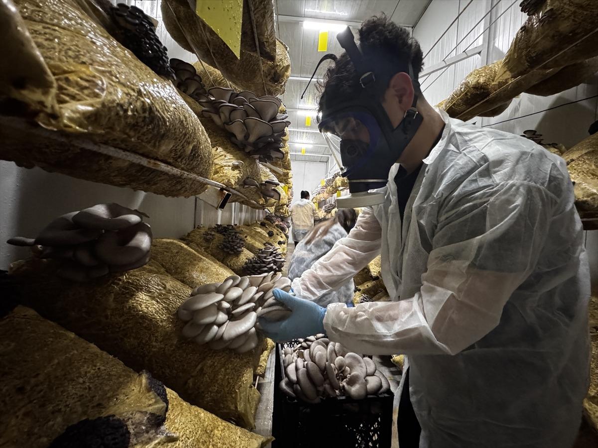 Hobisi olacaktı, tesis kurdu: Talep olunca üretmeye başladı 2