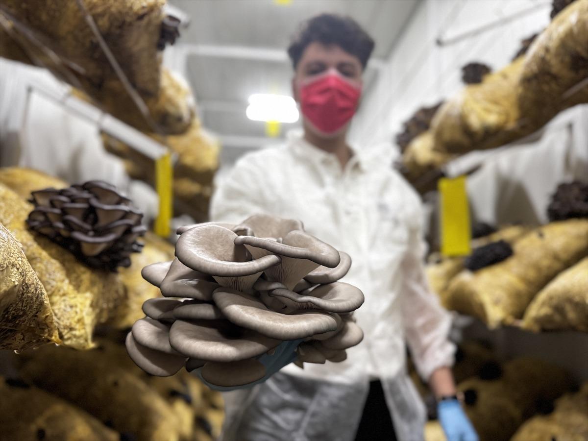 Hobisi olacaktı, tesis kurdu: Talep olunca üretmeye başladı 4