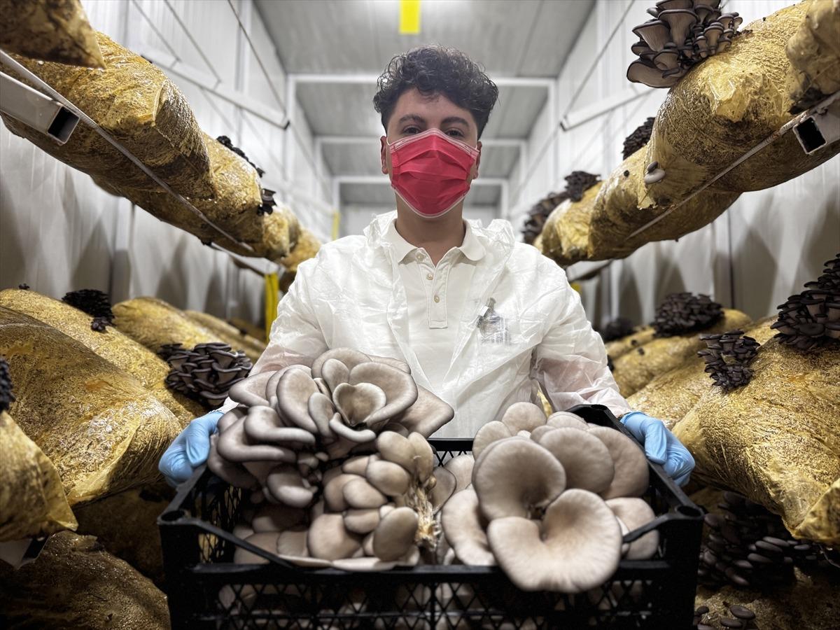 Hobisi olacaktı, tesis kurdu: Talep olunca üretmeye başladı 5