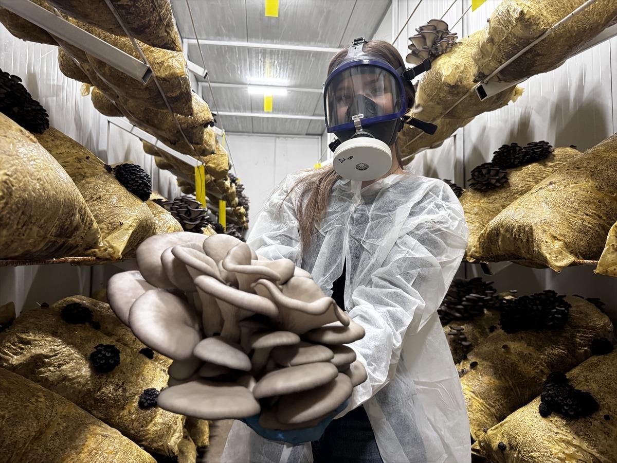 Hobisi olacaktı, tesis kurdu: Talep olunca üretmeye başladı 6