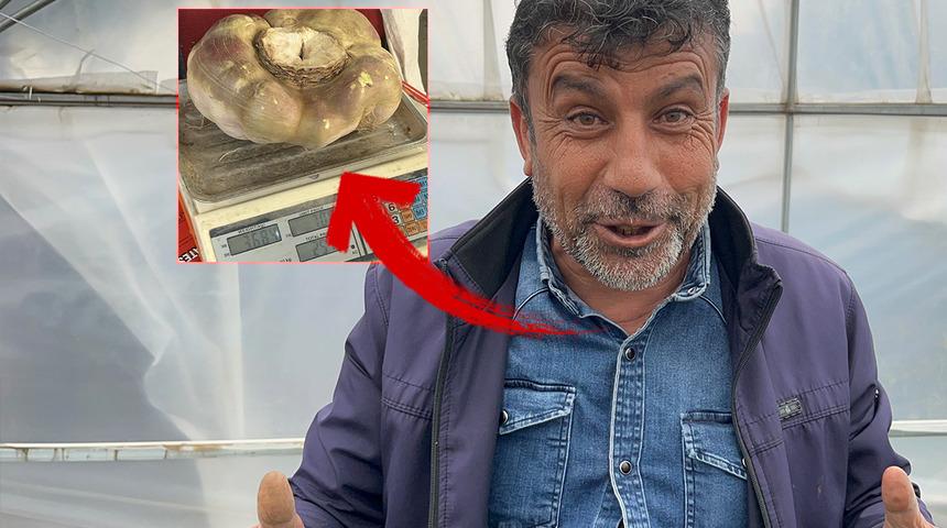 Pazar tezgahında g&ouml;ren inanamadı, telefonuna sarıldı! Tam 4 kilo