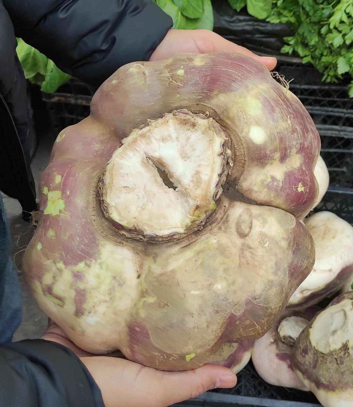 Pazar tezgahında g&ouml;ren inanamadı, telefonuna sarıldı! Tam 4 kilo 2