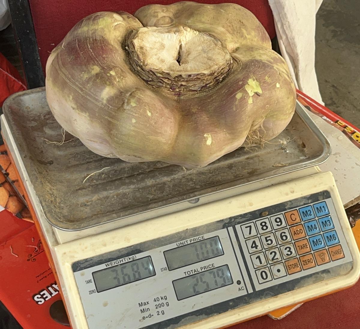 Pazar tezgahında g&ouml;ren inanamadı, telefonuna sarıldı! Tam 4 kilo 1