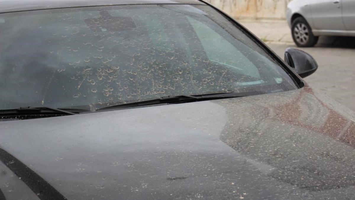 Aydın’da toz taşınımı bekleniyor