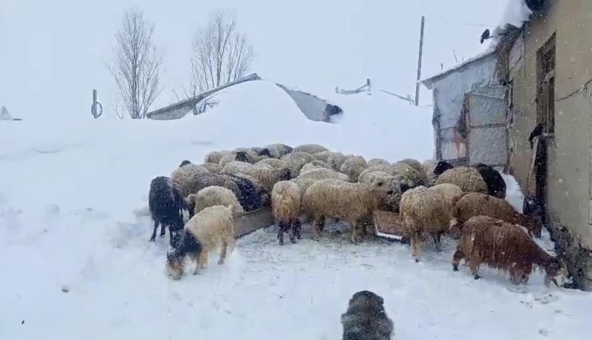 Nisan ortasında şaşırtan manzara! Kar kalınlığı insan boyunu aştı 2