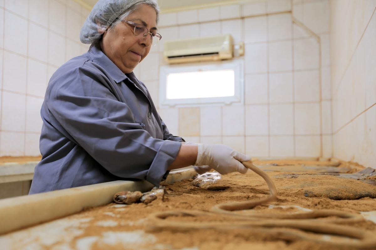 10 ton saçılacak! 22 yıldır bu işi yapıyorlar 6