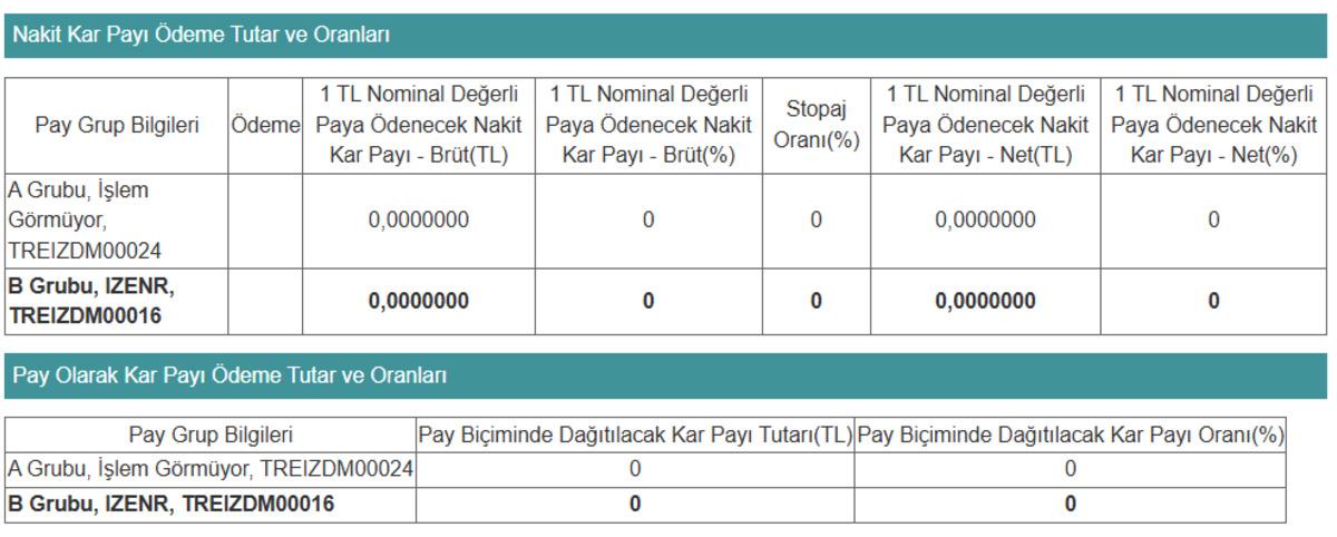 İzdemir Enerji "Zarar var" dedi, temettüye ret geldi, Görsel 1