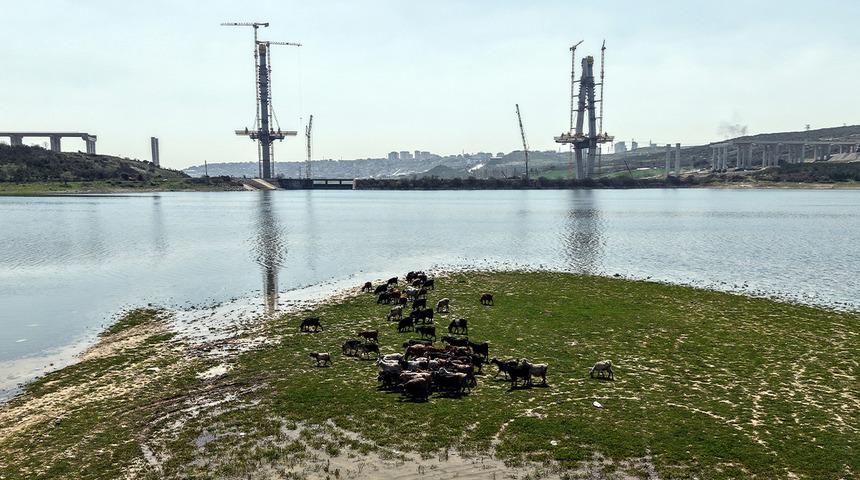 İstanbul'un yeni y&uuml;z&uuml;: Bir yanda k&ouml;pr&uuml; diğer yanda ke&ccedil;iler