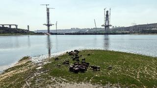 İstanbul'un yeni yüzü: Bir yanda köprü diğer yanda keçiler