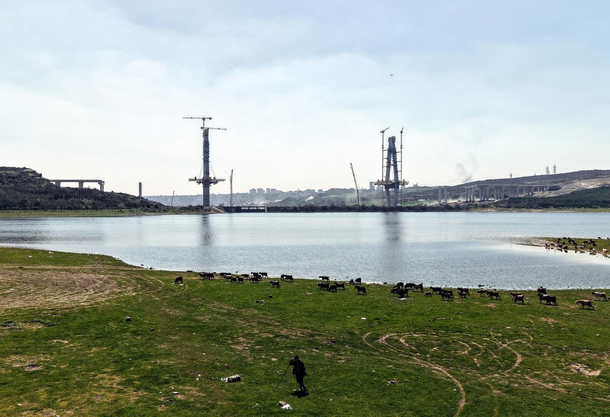 İstanbul un yeni yüzü: Bir yanda köprü diğer yanda keçiler 1