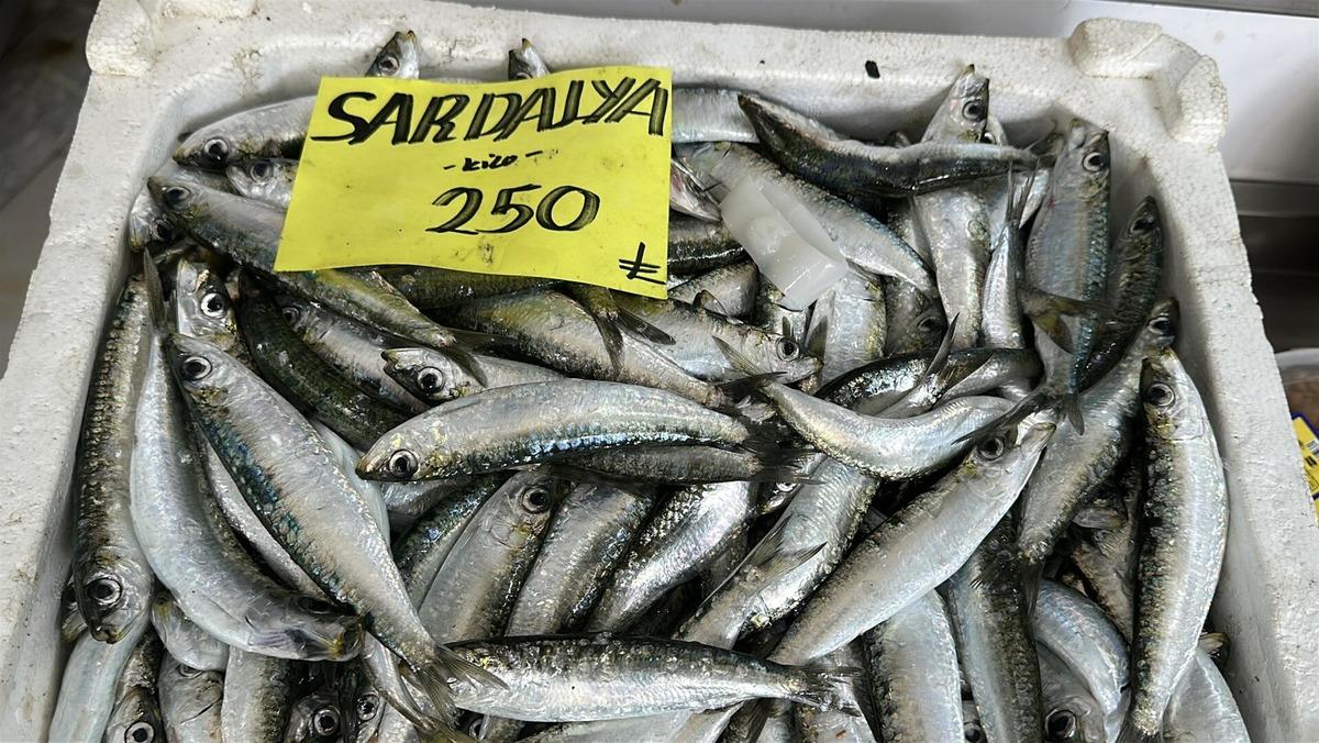 2 ayda 300 bin ton balık avlandı: "Hızlı avcılık pek &ccedil;ok sıkıntı getirdi" 6