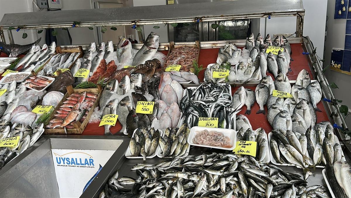 2 ayda 300 bin ton balık avlandı: "Hızlı avcılık pek &ccedil;ok sıkıntı getirdi" 2