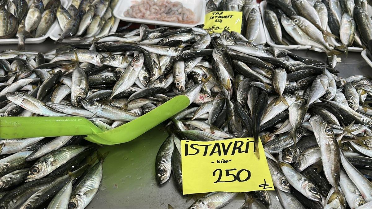 2 ayda 300 bin ton balık avlandı: "Hızlı avcılık pek &ccedil;ok sıkıntı getirdi" 1